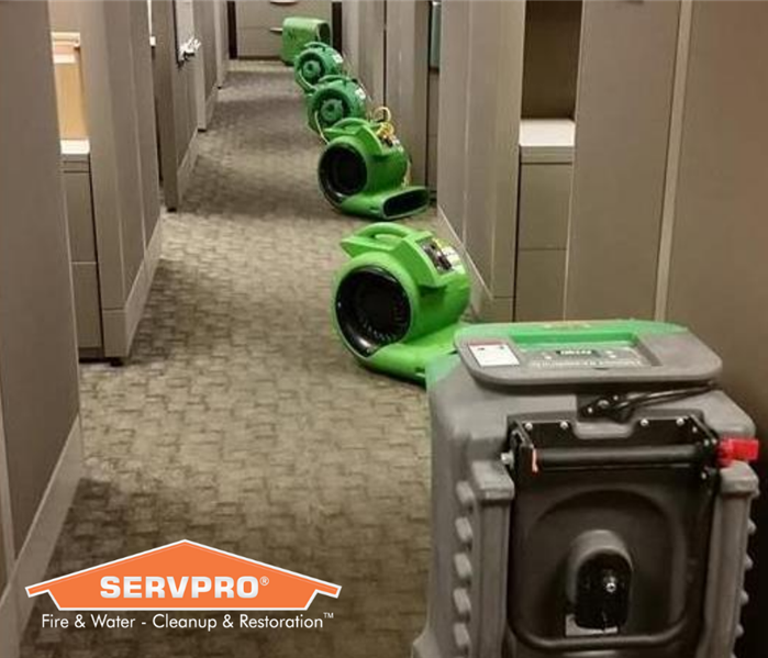 SERVPRO equipment lined up in the middle of an office.
