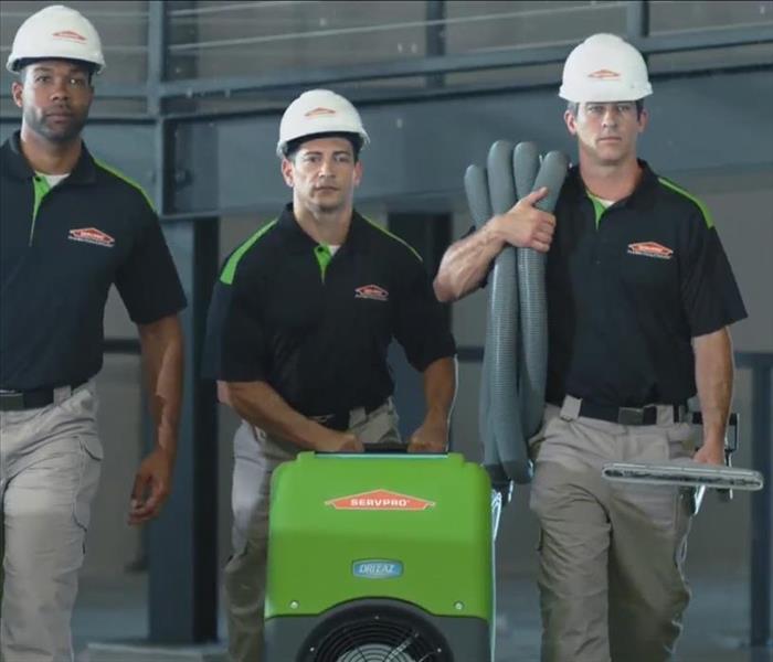 people with servpro